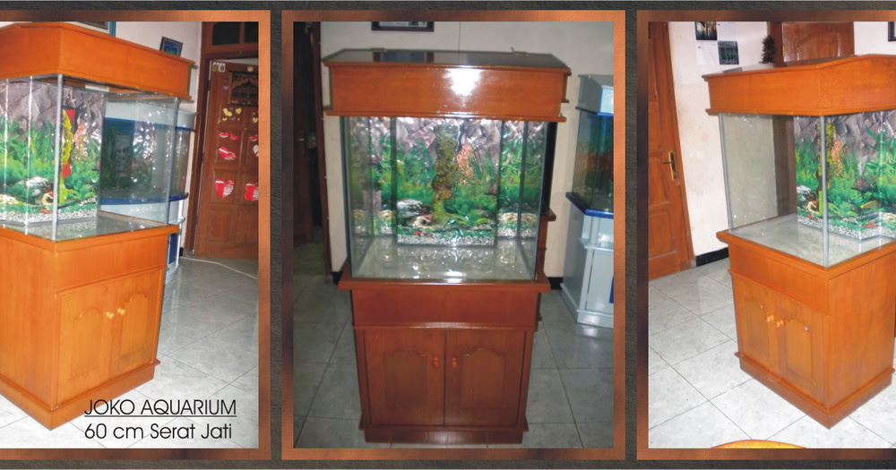 Joko Aquarium  Solo  Lapis Jati 60Cm Kotak Biologis Tanpa 